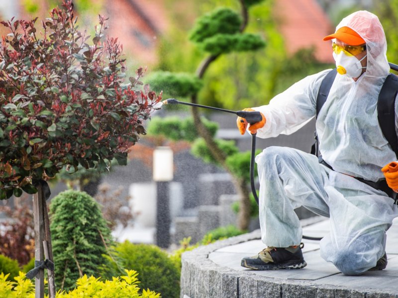 Döşemealtı Haşere İlaçlama